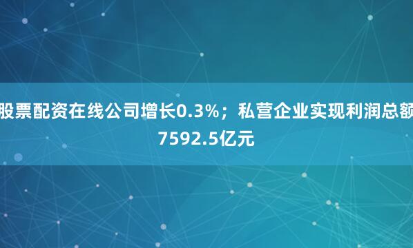 股票配资在线公司增长0.3%；私营企业实现利润总额7592.5亿元